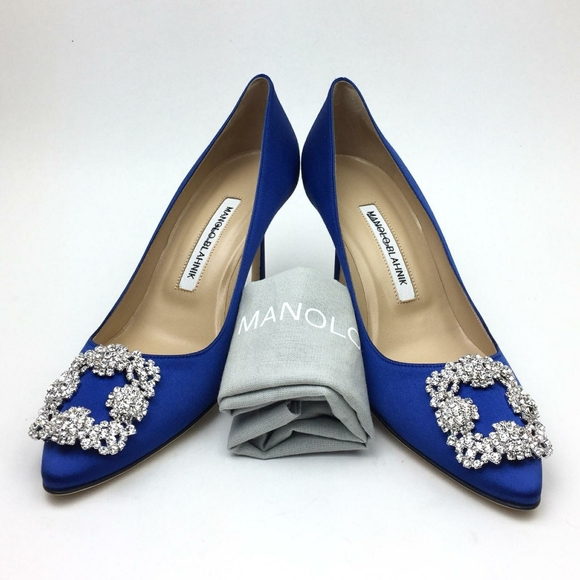 Manolo Blahnik Shoes - MANOLO BLAHNIK Hangisi Pointed Toe Pump sz 8